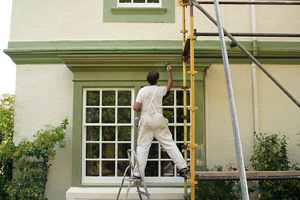 Exterior Painting Services in Bellevue, WA