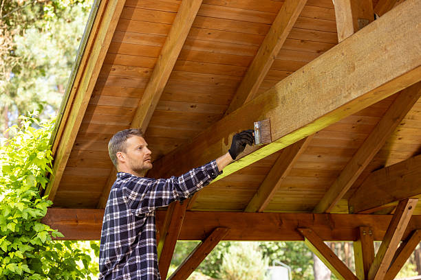 Step by Step Process of Trusted Exterior Painting Services in Bellevue WA