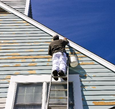 Painters in My Area